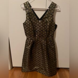 J Crew Party Dress